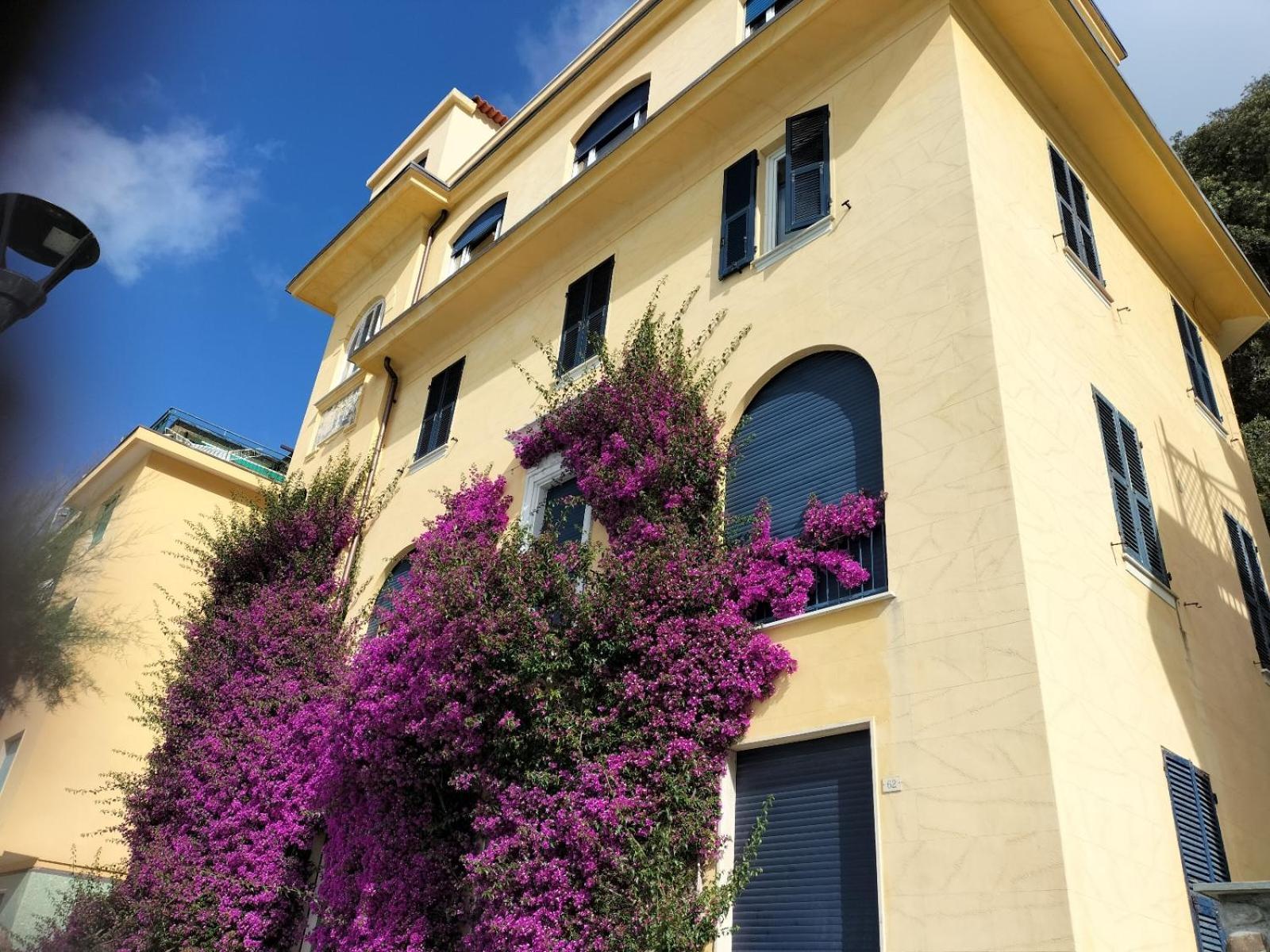 La Bouganville Beatiful Sea View Monterosso al Mare Exterior foto